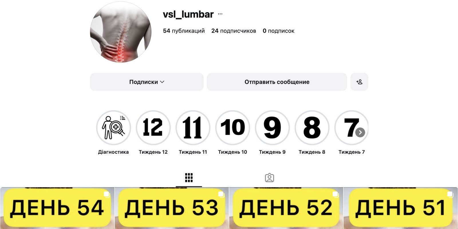 A private Instagram page for a course: stories by week and posts “Day 54”, “Day 53”